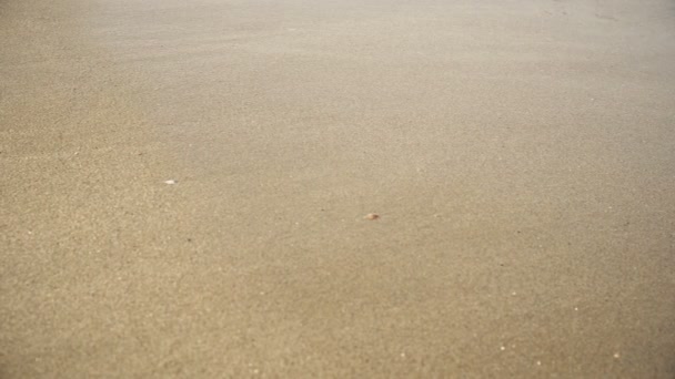 Lake Lugn Våg Tvätt Sand Yta Filmiska Närbild Bakgrund — Stockvideo