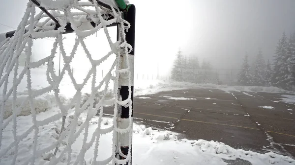 Sport Terrain Entraînement Pour Handball Football Couvert Neige — Photo