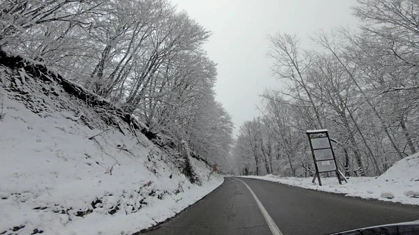 Zimní Jízdy Pov Sněhovou Vánici Omezenou Viditelností Horské Venkovské Silnici — Stock fotografie