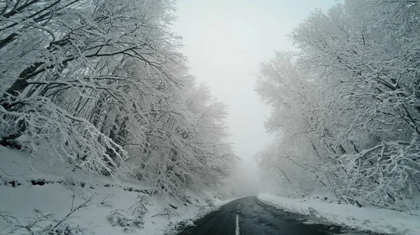 Winter Drive Pov Snow Blizzard Poor Visibility Mountain Rural Road — Stock Photo, Image