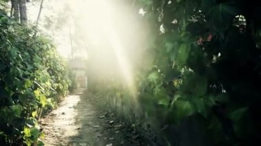 Ormandaki eski ahşap evleriyle plaj Kamping mahalle dar yeşillik pasajda POV yürüyüş
