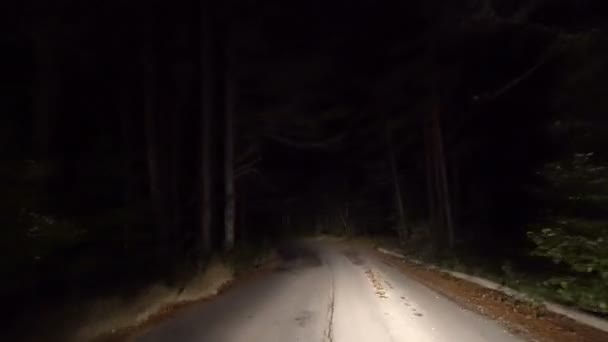 Vuoto Campagna Strada Rurale Pov Unità Notte — Video Stock