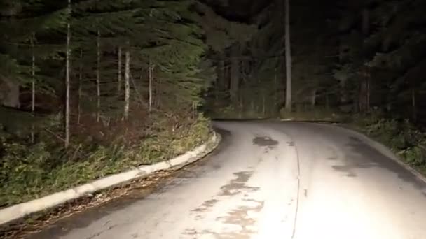 Dağ Pov Orman Çam Ağaçları Arasında Sürüş Gece — Stok video