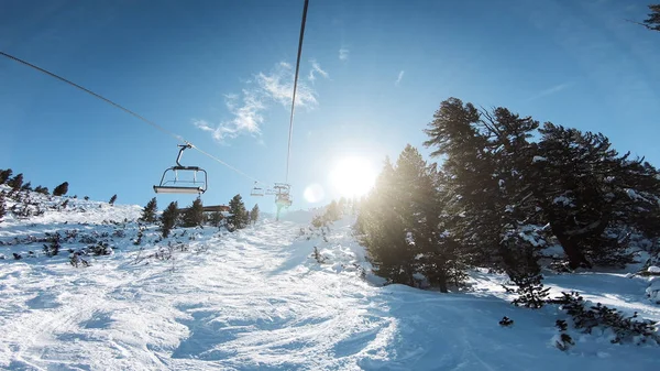 日出时 滑雪缆车穿过松树林区 来到山岭滑雪场冬季度假村 波夫射门 — 图库照片