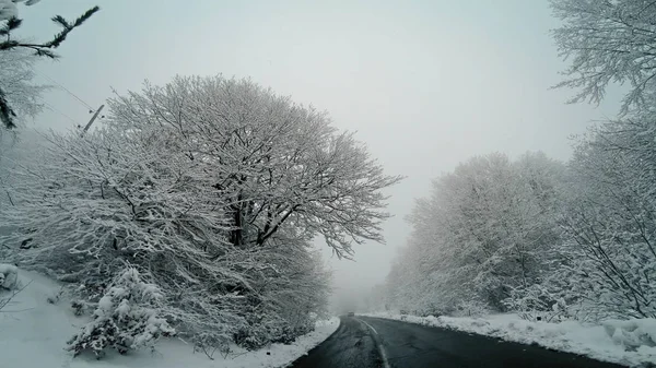 Carro Está Dirigindo Uma Estrada Inverno Uma Nevasca Pov — Fotografia de Stock