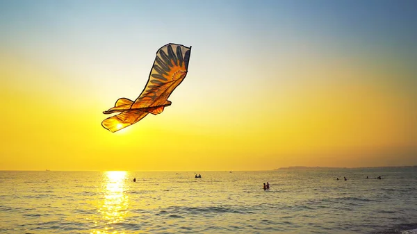 閉じるアップ色のおもちゃの凧は 海のビーチで金の日没の空の背景日に対して空気中の高飛んで — ストック写真