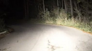 Uzak gece kırsal yolda sürüş Pov