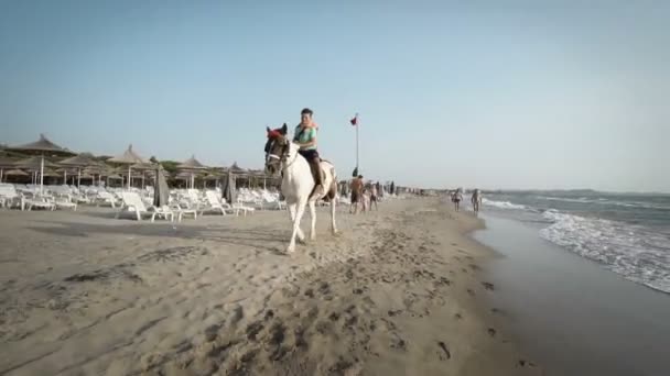 在阳光明媚的日子里 男孩在海边骑马 马在沙滩上疾驰 运动和旅行概念 — 图库视频影像