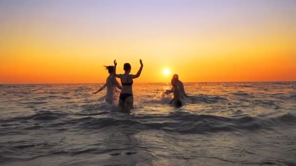 Joven Fiesta Divertida Gente Bailando Rociando Atardecer Playa Moción Lenta — Vídeos de Stock