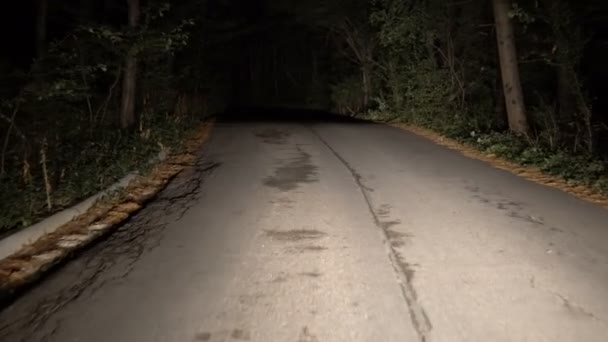 Erdőn Keresztül Vidéki Road Éjszakai Vezetéskor Pov — Stock videók