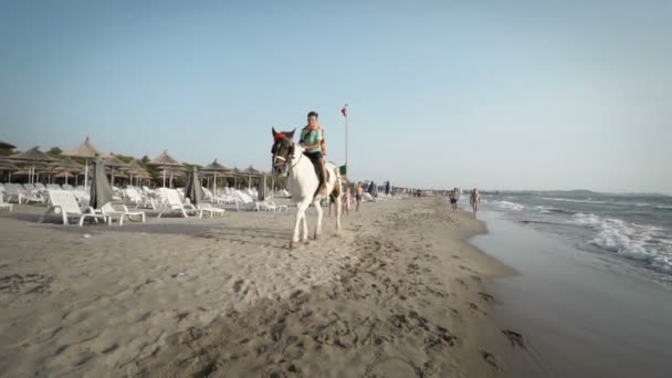 Bello Ragazzo Che Cavalca Cavallo Una Spiaggia Tropicale Slow Motiion — Video Stock