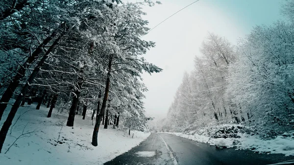 Mașina Conduce Drum Iarnă Într Viscol Pov — Fotografie, imagine de stoc