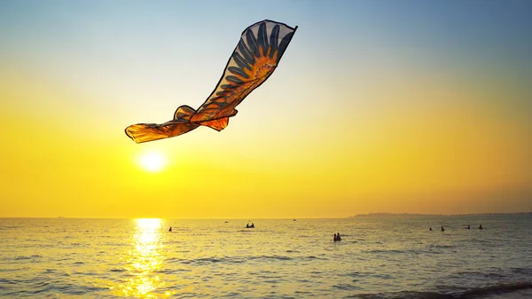 Brincalhão Pipa Brinquedo Voar Praia Contra Sol Verão — Fotografia de Stock