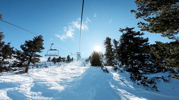 Skilift Draging Een Pine Bosgebied Bij Zonsopgang Berg Ski Pistes — Stockfoto