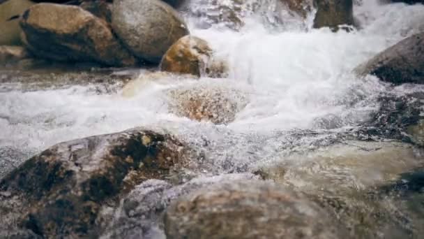 Чистый Горный Речной Поток Небольшим Водопадом Изогнутые Круглые Камни Медленное — стоковое видео