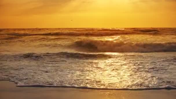 嵐の波夕暮れ時の海をスプラッシュします — ストック動画