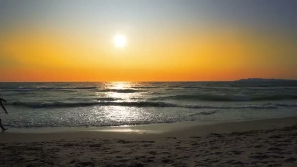 Paar Spaziert Bei Sonnenuntergang Sommerstrand Entlang Filmaufnahme — Stockvideo