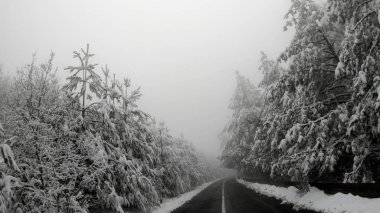 Dağ kırsal yolda kötü görüş ile kar blizzard üzerinde kış sürücü pov