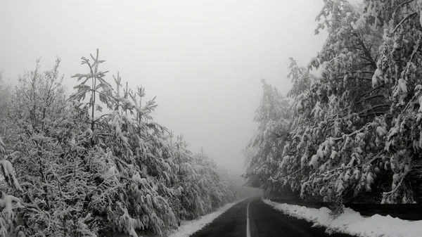 Vinter Bil Pov Snow Blizzard Med Dålig Sikt Berget Landsbygden — Stockfoto