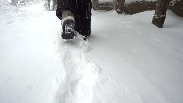 Ноги Жінки Йдуть Глибокому Снігу Лісі Взимку — стокове фото