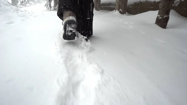 Pernas Mulher Andando Neve Profunda Floresta Inverno — Fotografia de Stock