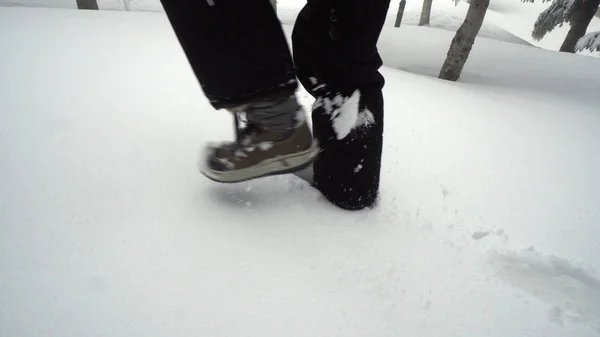 Chůzi Sněhu Parku — Stock fotografie