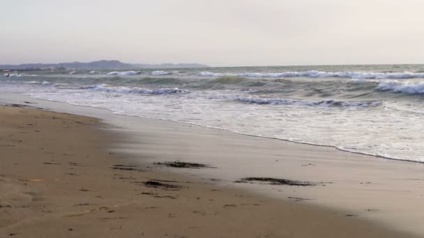 Feminino Correndo Correndo Descalço Areia Praia Oceano Nascer Sol Dof — Vídeo de Stock