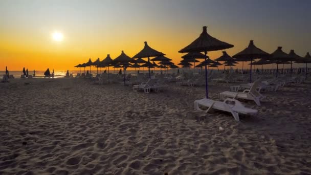 夕日に対するサンシェードとサンベッド付きのビーチ 旅行のコンセプトの背景 — ストック動画
