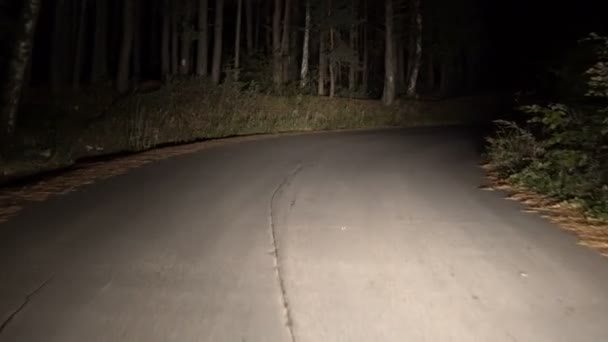 Conducir Coche Por Noche Carretera Rural Montaña Bosque Pov — Vídeos de Stock