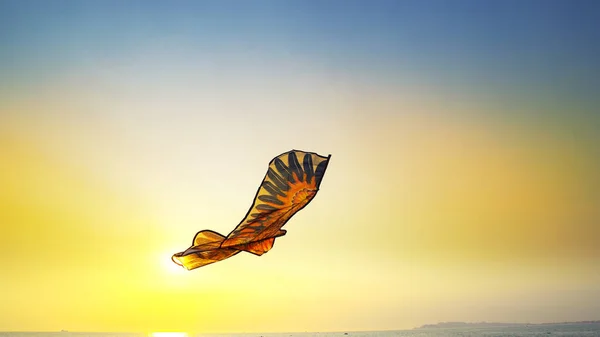 Playful kite toy fly on beach against summer sunset sun