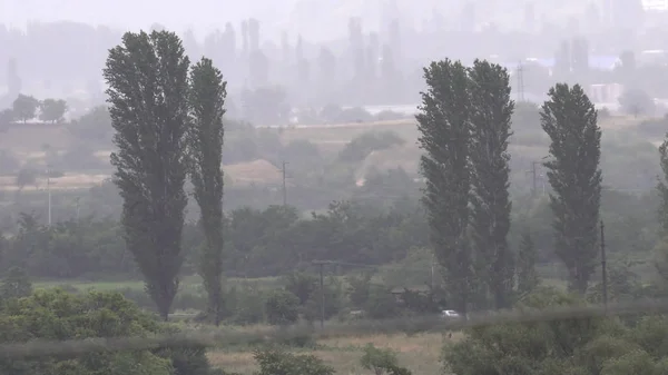 Regen Storm Zomer Landschap Vallei Weide Met Bomen Bos Horizon — Stockfoto