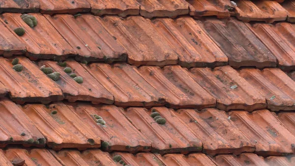 Крупный План Кафель Оранжевой Глины Крышах Дома — стоковое фото