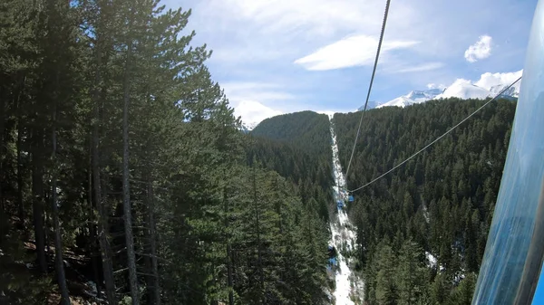 Pov Gondola Cabin Ski Lift Ride Pine Forest Trees Transport — Stock Photo, Image
