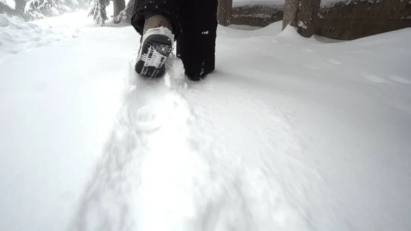 Жіночі Ноги Йдуть Глибоким Снігом Лісі Чоботях — стокове фото