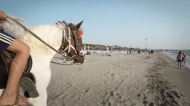 Yakışıklı genç çocuk bir tropik sahilde bir binicilik