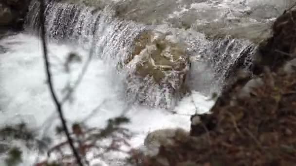 Water Cascades Stream Stone Rocks Beautiful Mountain Scene — Stock Video