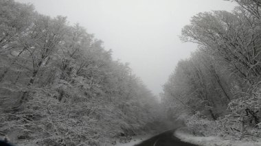 Dağ kırsal yolda kötü görüş ile kar blizzard üzerinde kış sürücü pov
