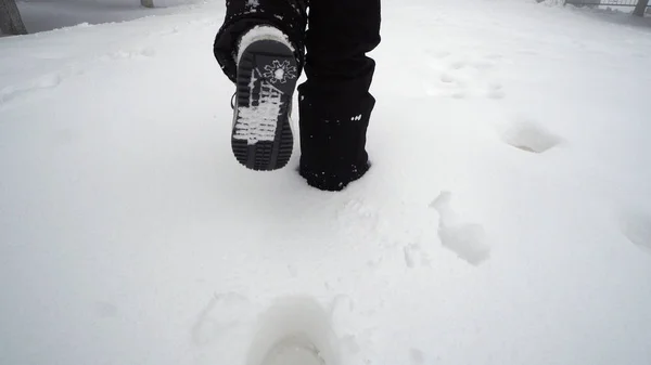 Caminhando Sobre Neve Parque — Fotografia de Stock