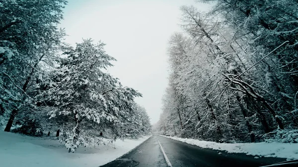 Bilen Kör Vinterväg Snöstorm Pov — Stockfoto