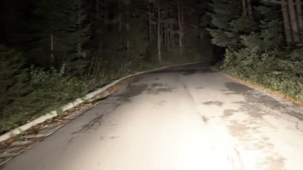 Kör Bil Natten Landsbygdens Bergsväg Skogen Pov — Stockvideo