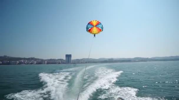 興奮して観光客の高空 極端なスポーツ 夏の活動 ヨット ボートの後ろからハメ撮りでパラセー リング — ストック動画