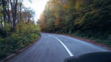 Araç noktası dağ sonbahar sarı ağaçları arasında kırsal yolu üzerinde sürüş görüş