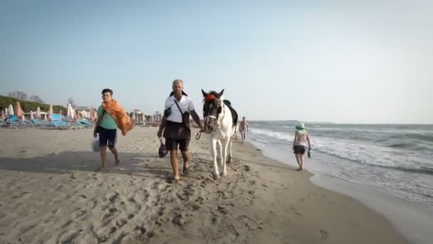 Uomo Che Cammina Sulla Spiaggia Noleggiando Cavallo Corsa Equitazione Popolare — Video Stock