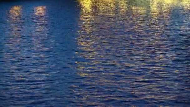 Natural Dark Blue Water Surface Seine River Notre Dame Lights — Stock Video