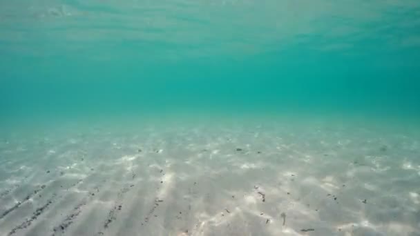 Песчаное Морское Дно Структурой Солнечного Света Море — стоковое видео