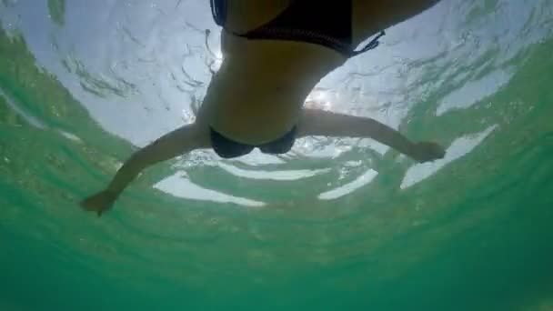 夏の太陽光線に輝く穏やかな海の水の表面のバックライトに水泳の若い女性の水中の低角度のビュー — ストック動画