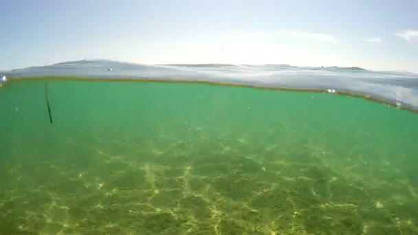 Fond Naturel Surface Eau Mer Avec Vue Sur Sol Ciel — Video