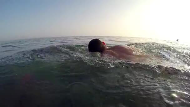 Deporte Hombre Nadando Frente Gatear Maratón Atardecer Siguiente Disparo Movimiento — Vídeo de stock