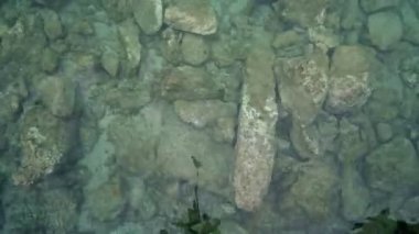 Sığ su yüzeyi ve plaj taşlarının doğa arka planı