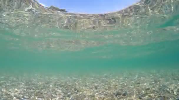 Peces Pov Nadando Aguas Poco Profundas Con Piedra Suelo Guijarros — Vídeo de stock